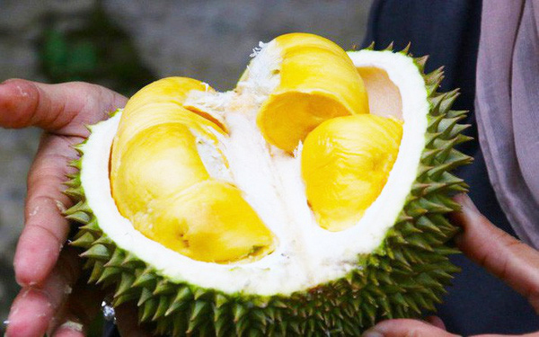 Sầu riêng: Mỏ vàng mới của Đông Nam Á