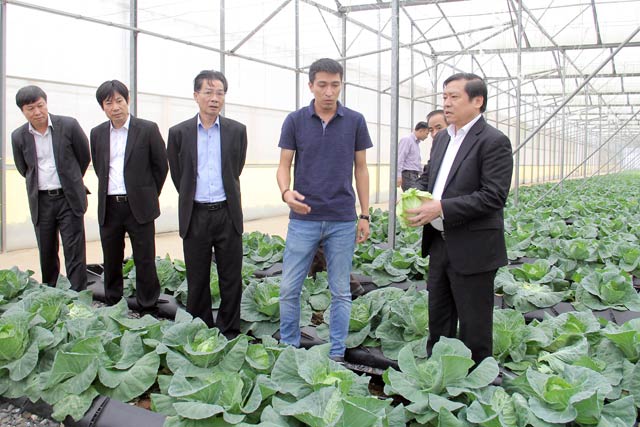 THAI AIZA CÙNG KẾT NỐI VỚI NÔNG DÂN ĐỒNG THÁP