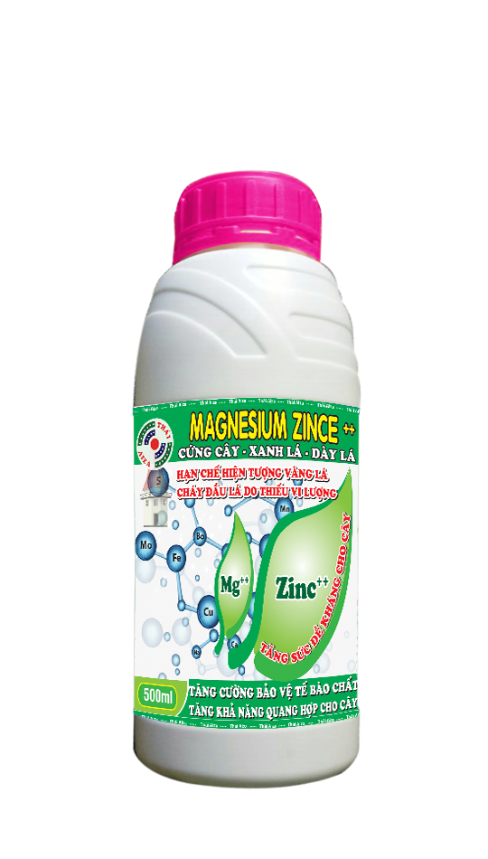 Magnesium Zince++